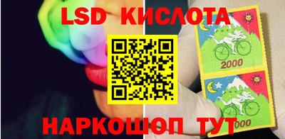 Альфа ПВП Будённовск