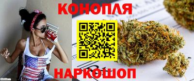 Альфа ПВП Будённовск