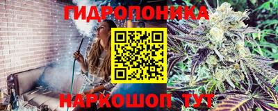 Альфа ПВП Будённовск