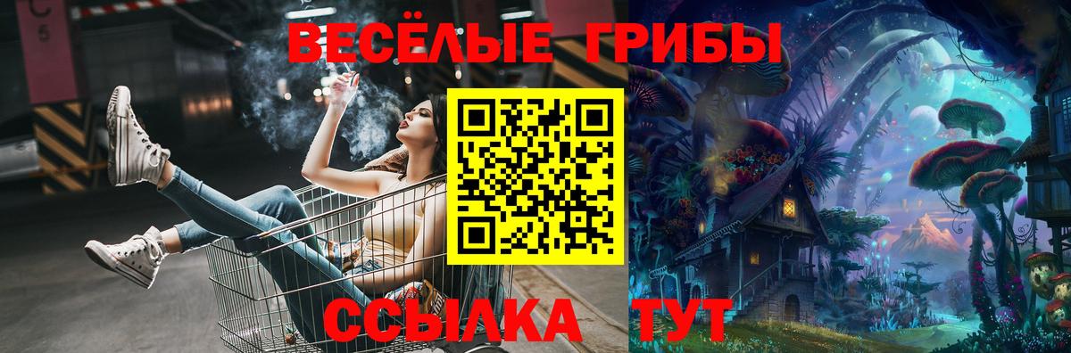 Псилоцибиновые грибы MAGIC MUSHROOMS  Галлюциногенные грибы Magic Shrooms  Юрга  Вход с VPN 